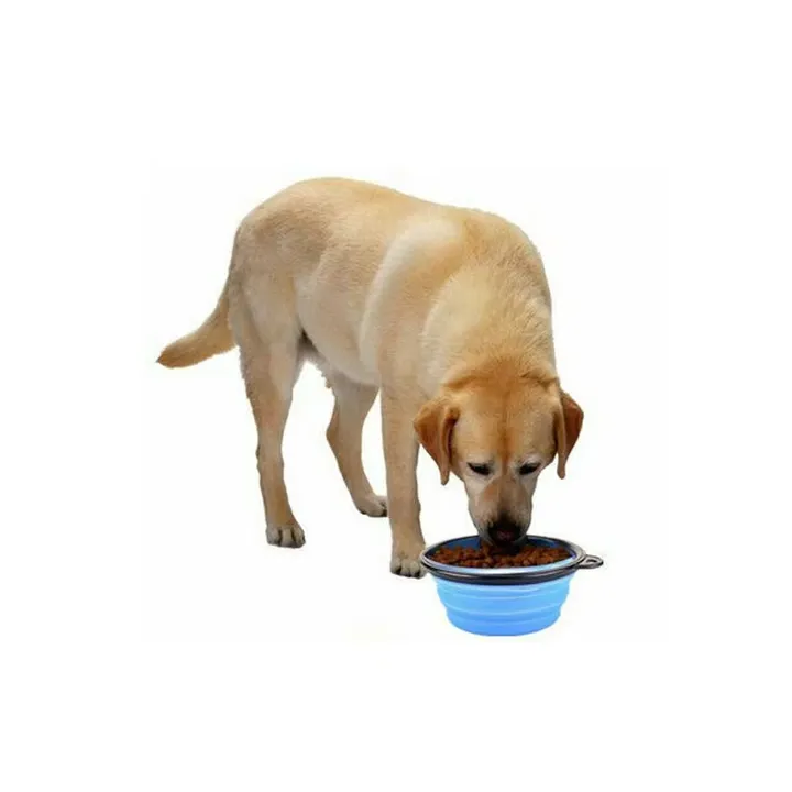 ماء قابل للطي للسفر أو في الهواء الطلق قابل للطي للقطط والكلاب والمياه Foldable Water Float for Travel or Outdoors Foldable Water Float for Cats and Dogs